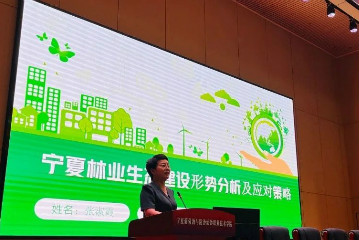 圖片加載失敗